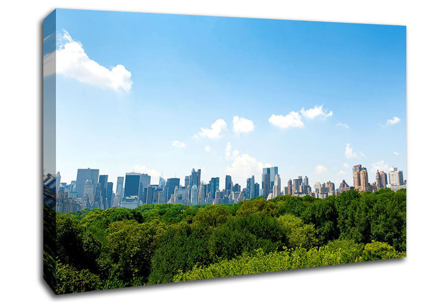 Central Park New York City Canvas Wall Art