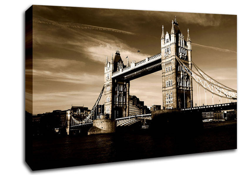 London Brown Beauty Canvas Wall Art