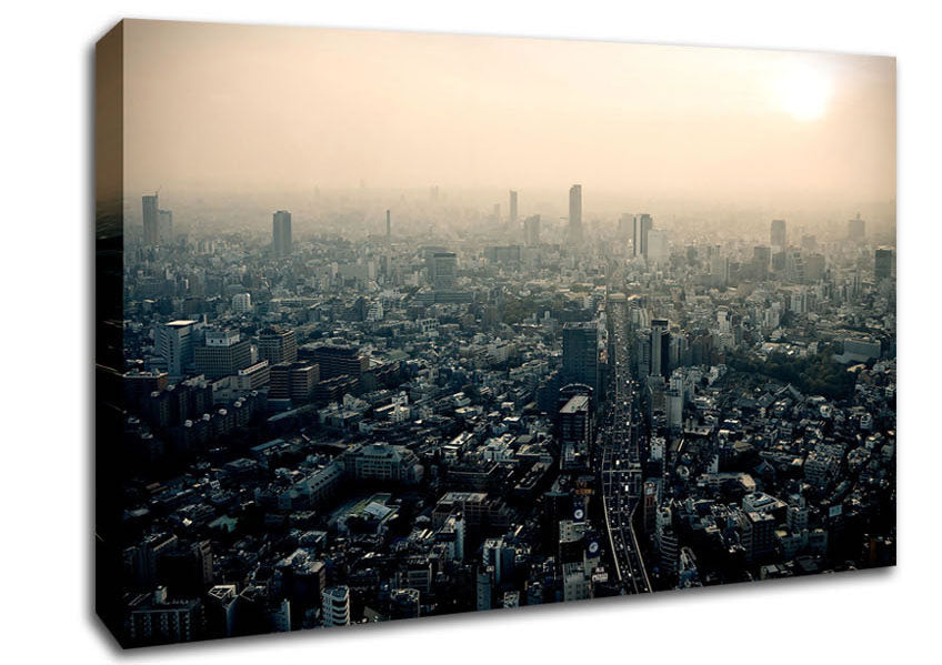 Tokyo Smog Canvas Wall Art