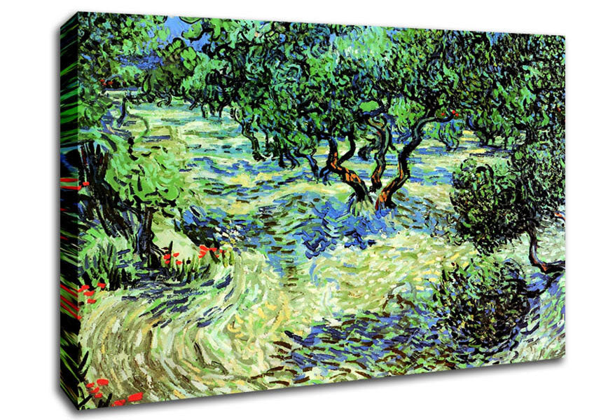 Van Gogh Olive Grove 2 Canvas Wall Art