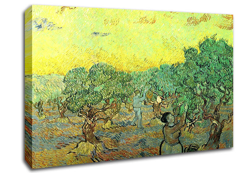 Van Gogh Olive Pickers In A Grove Canvas Wall Art