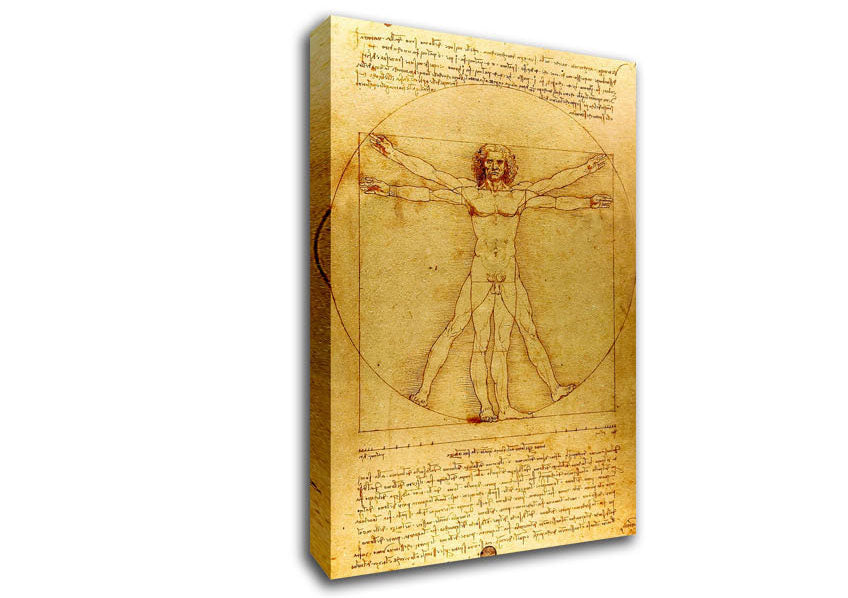 The Da Vinci Code Canvas Wall Art