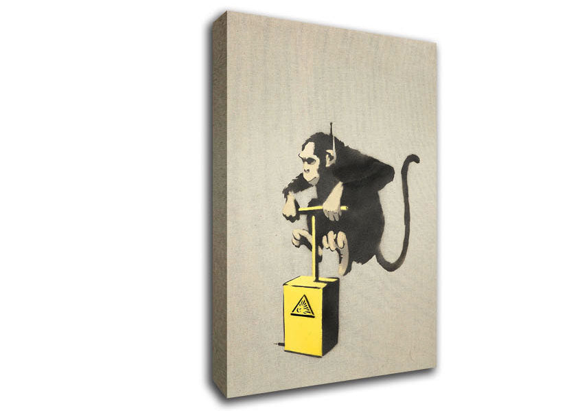 Monkey Detonator Canvas Wall Art
