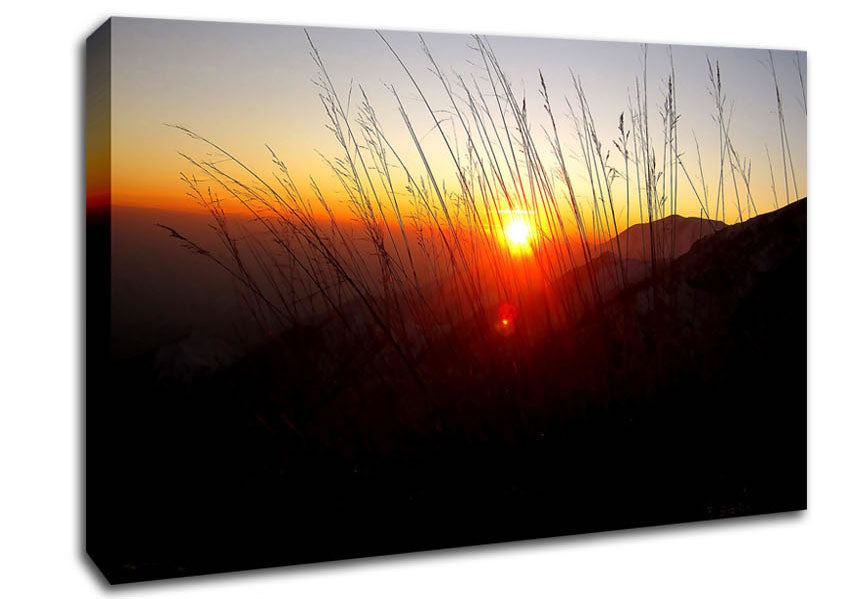 Dusk Through The Reeds Canvas Wall Art