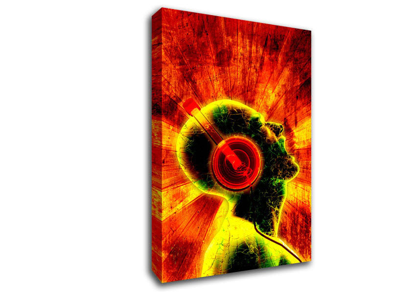 Dj Blaze Canvas Wall Art