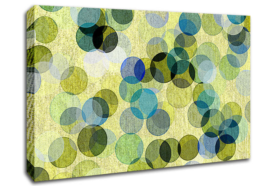Over Lapping Bubbles Canvas Wall Art