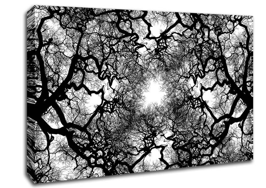 The Suns Shelter Canvas Wall Art