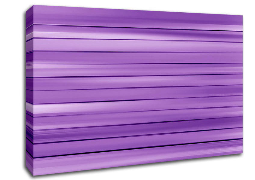 Just Purples Canvas Wall Art