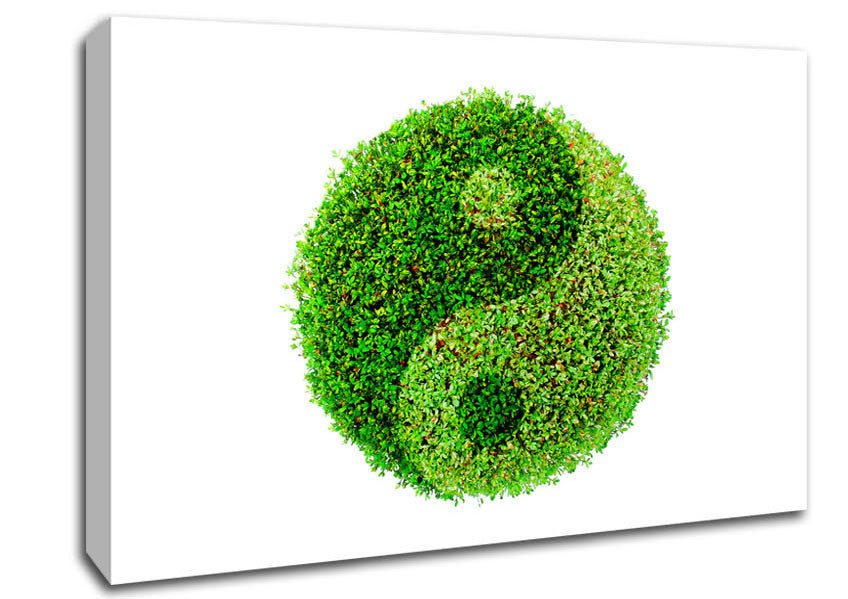 Ying And Yang Canvas Wall Art