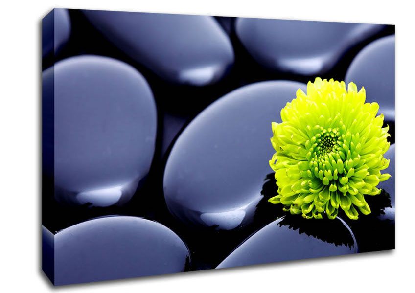 Black Zen Stones And A Yellow Mum Canvas Wall Art