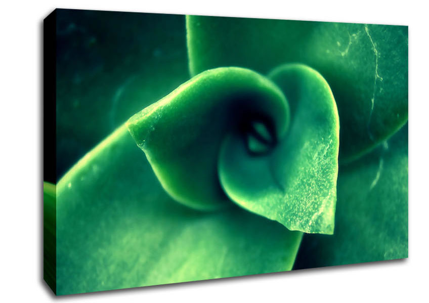 Green Light From The New Leaves Canvas Wall Art