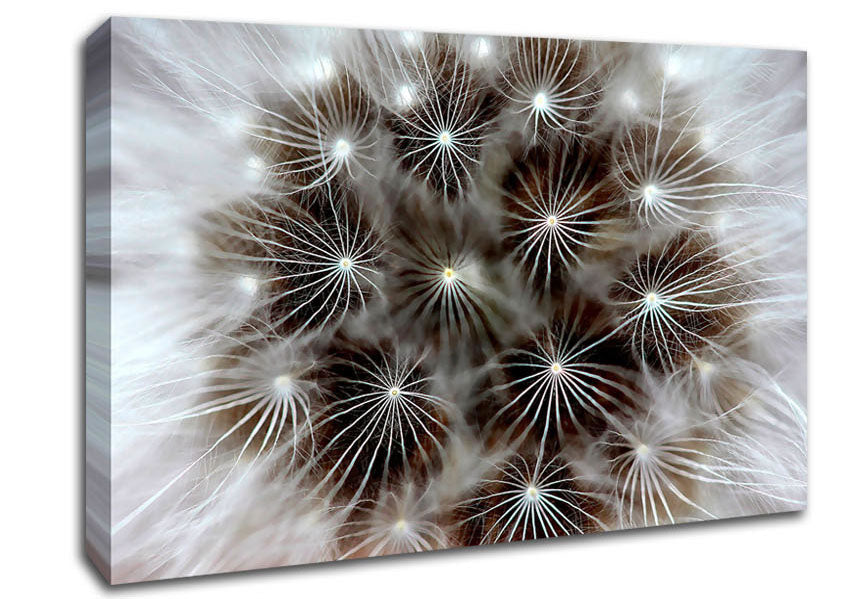 Macro Dandelion Canvas Wall Art