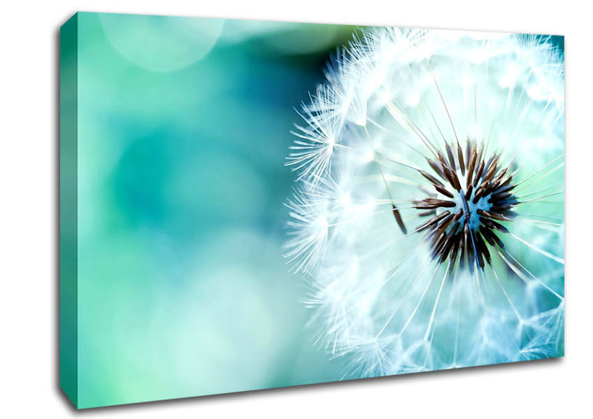 Dandelion Flower Wish Canvas Wall Art