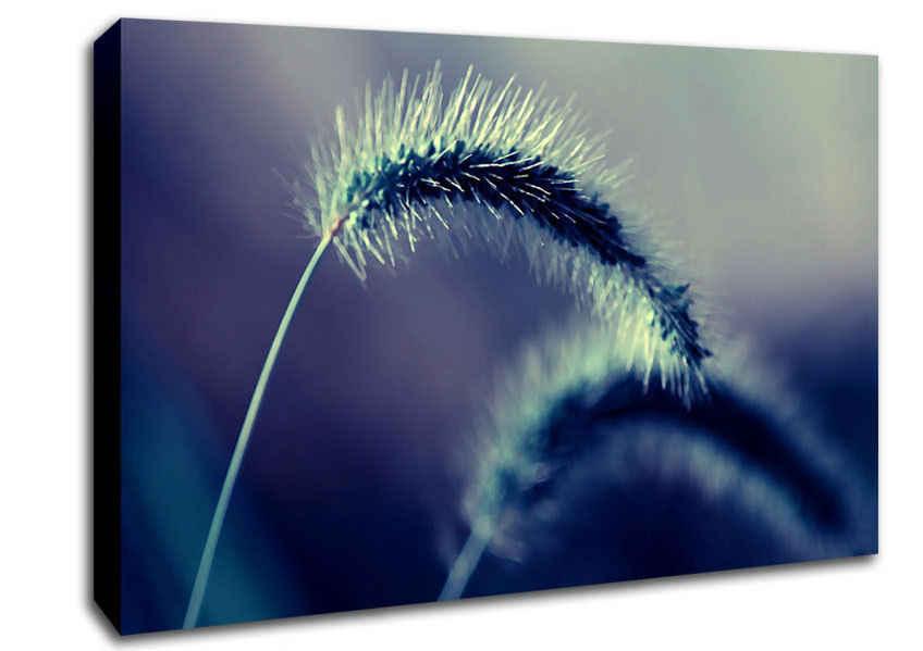 Spikelets Macro Canvas Wall Art