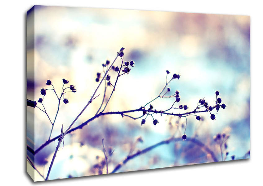 Spikey Twigs With Berries Canvas Wall Art