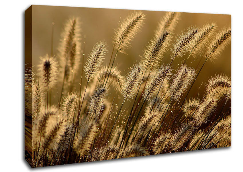 Bundle Of Ears Canvas Wall Art