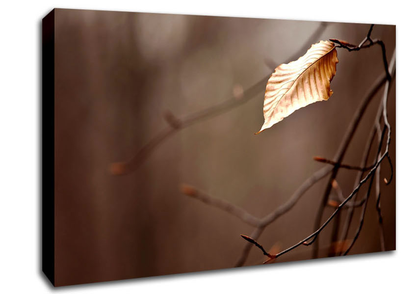 Leafless Canvas Wall Art