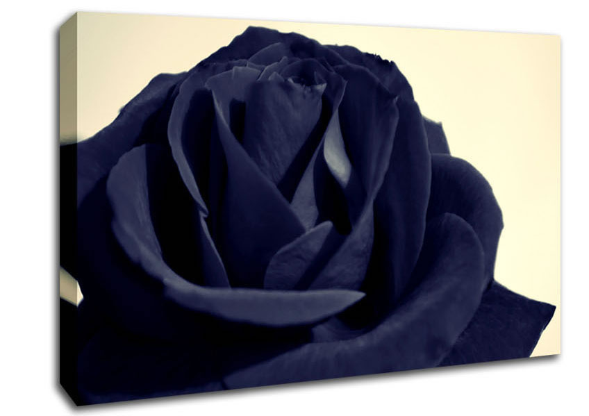Black Blue Rose Canvas Wall Art