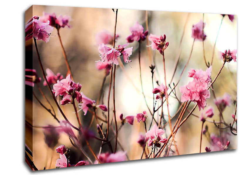 Spring Teasers Canvas Wall Art