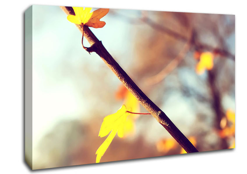 Autumn 2 Canvas Wall Art