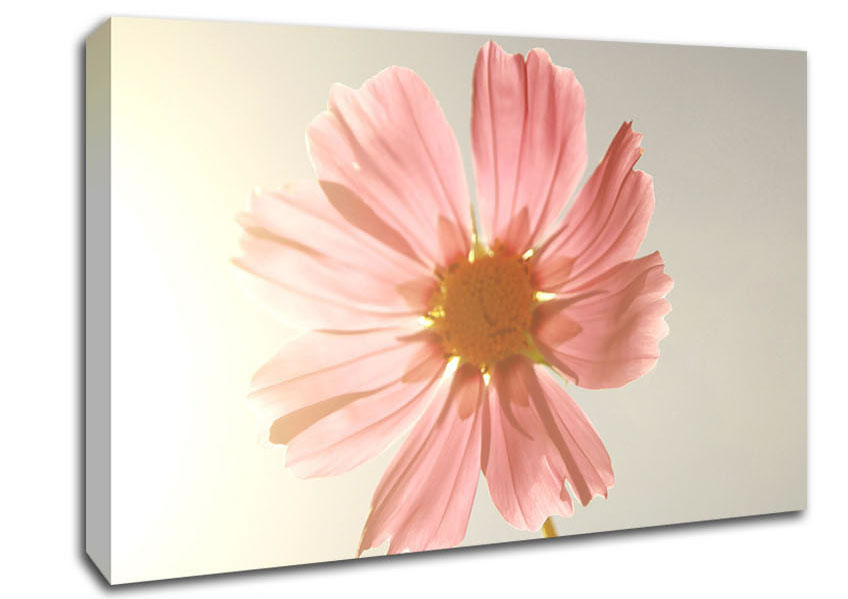 Summer Sun Canvas Wall Art
