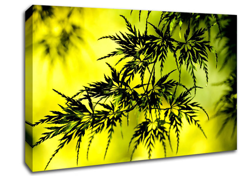 Summer Tree Leaves Canvas Wall Art