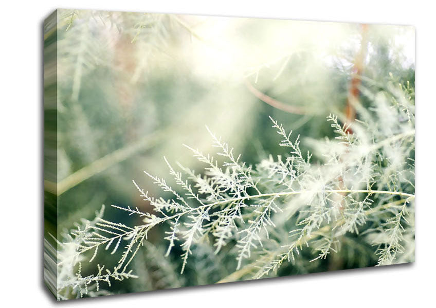 Winter Snow Leaves Canvas Wall Art
