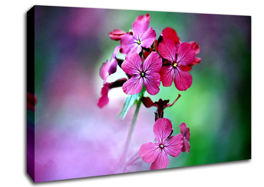 Fresh Flowers In The Garden Canvas Wall Art