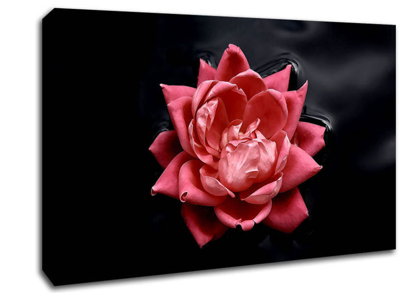 Floating Flower Canvas Wall Art