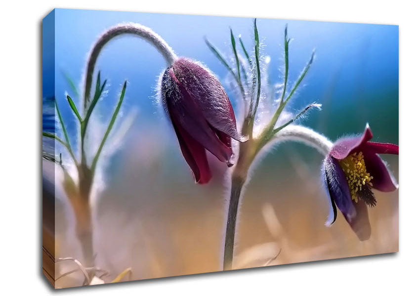 Wildflowers Blooming Canvas Wall Art