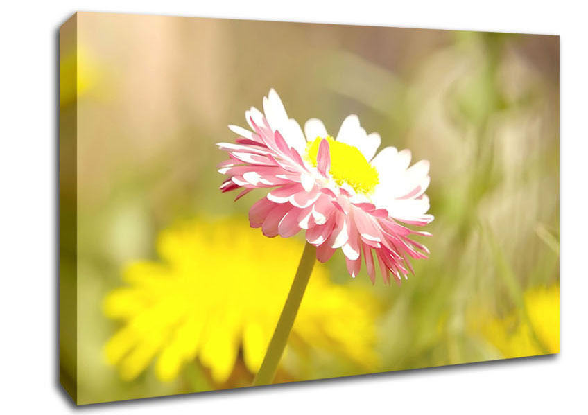 Beautiful Summer Pink Flower Canvas Wall Art