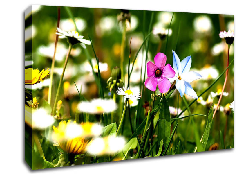 Flowers Field Canvas Wall Art
