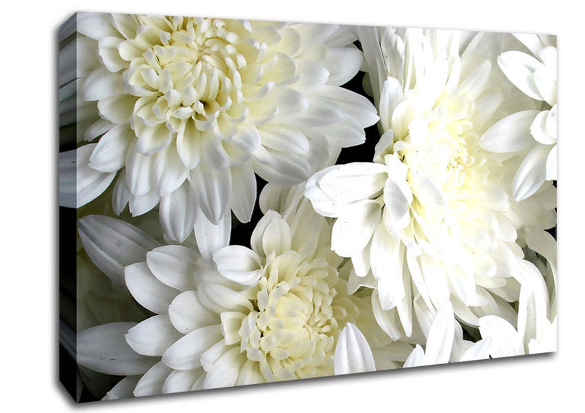 White Flowers Canvas Wall Art