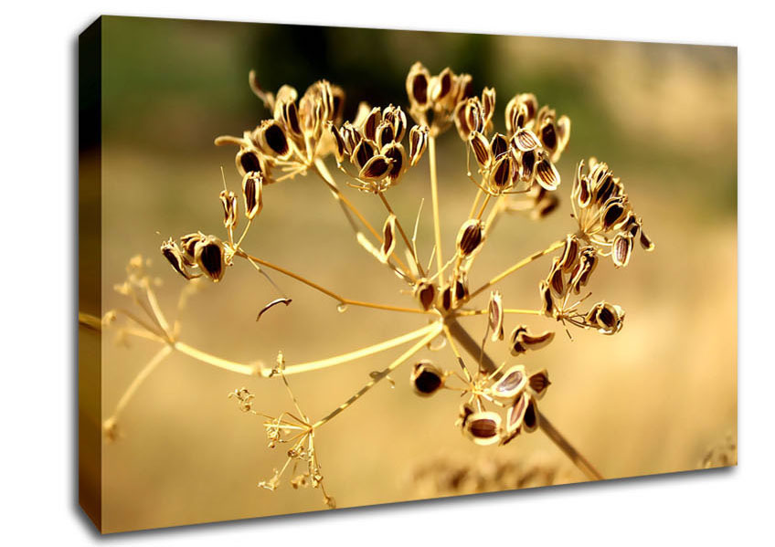 Winter Canvas Wall Art