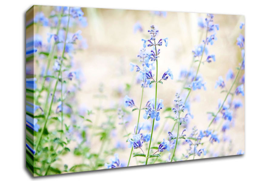 Blue Small Flowers Canvas Wall Art