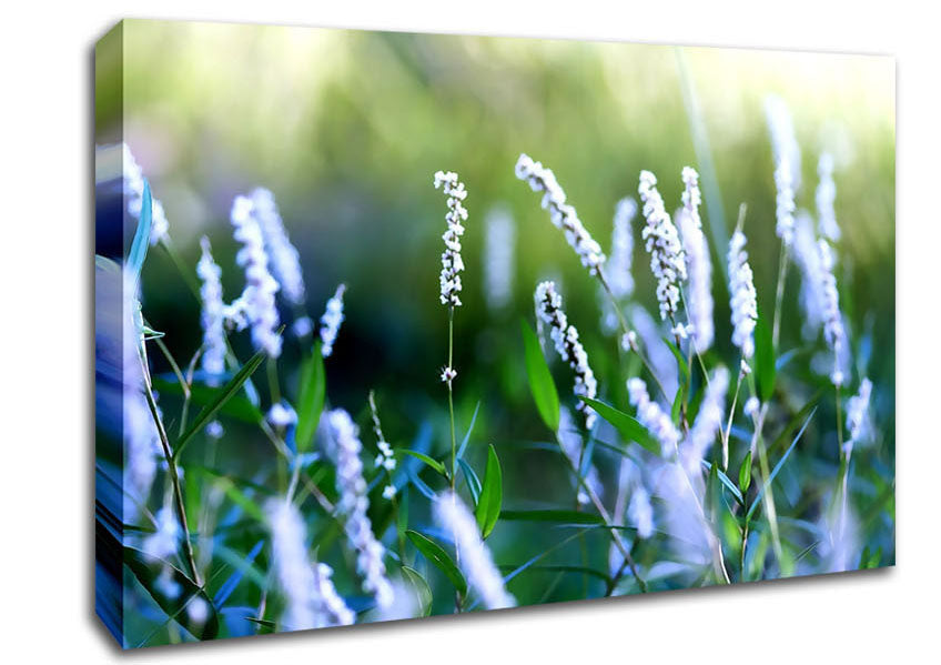 Bush Flowers Canvas Wall Art