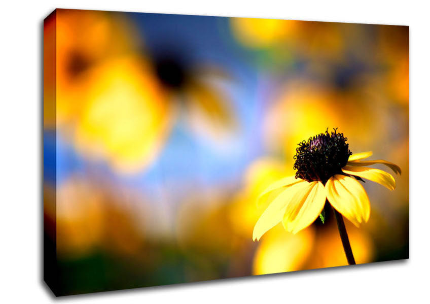 Cool Autumn Canvas Wall Art
