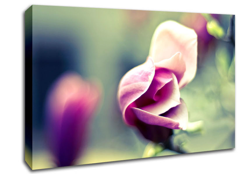 Bloom Canvas Wall Art