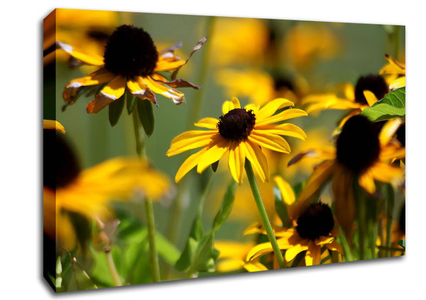 Yellow Flowers In The Garden Canvas Wall Art