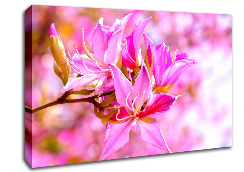 Stunning Deep Pink Flowers Canvas Wall Art