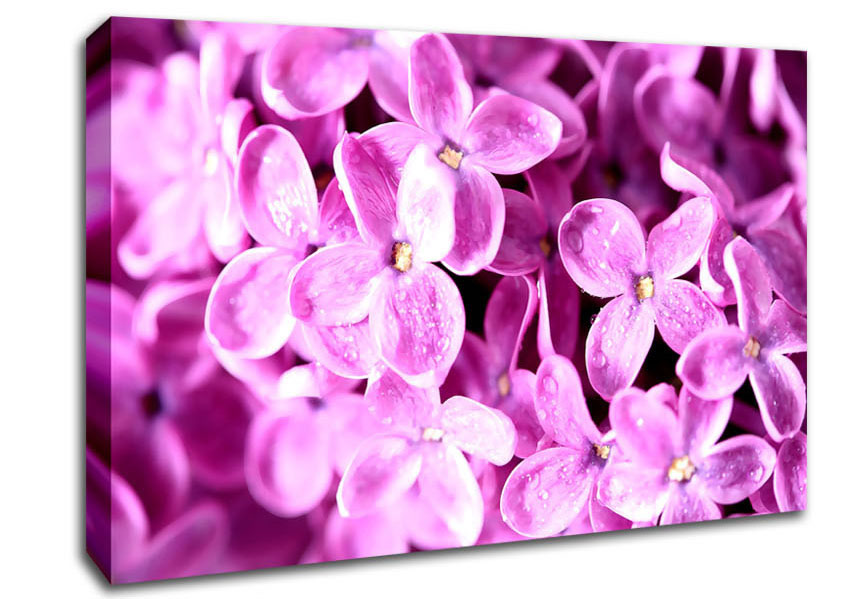 Lilac Flowers Macro Canvas Wall Art