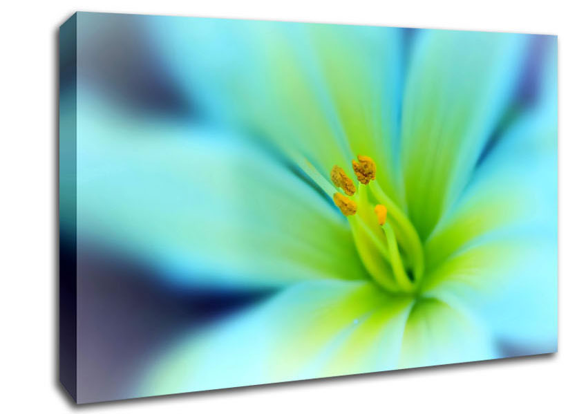 Dreamy Flower Canvas Wall Art