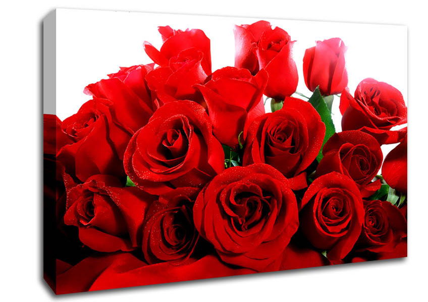 Lovely Red Roses Canvas Wall Art