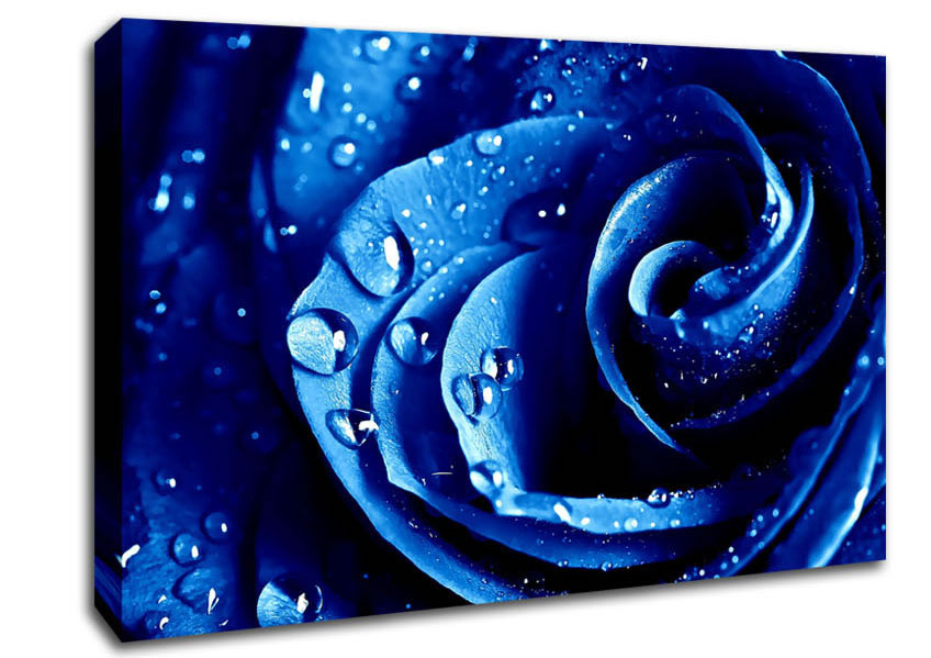 Wet Drops Blue Rose Canvas Wall Art