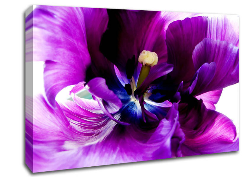In The Purple Centre Of Beauty Canvas Wall Art