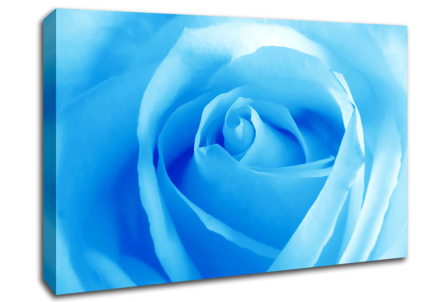 Baby Blue Rose Canvas Wall Art