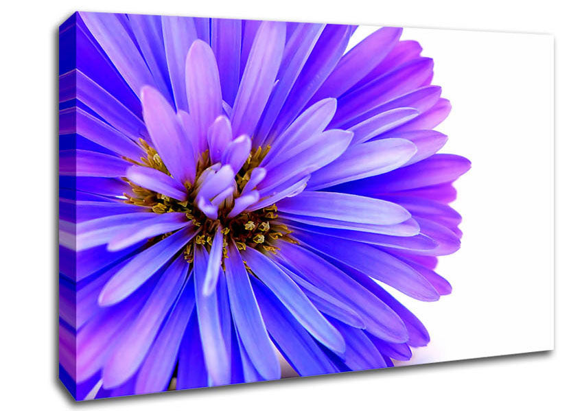 Soft Purple Petals Canvas Wall Art