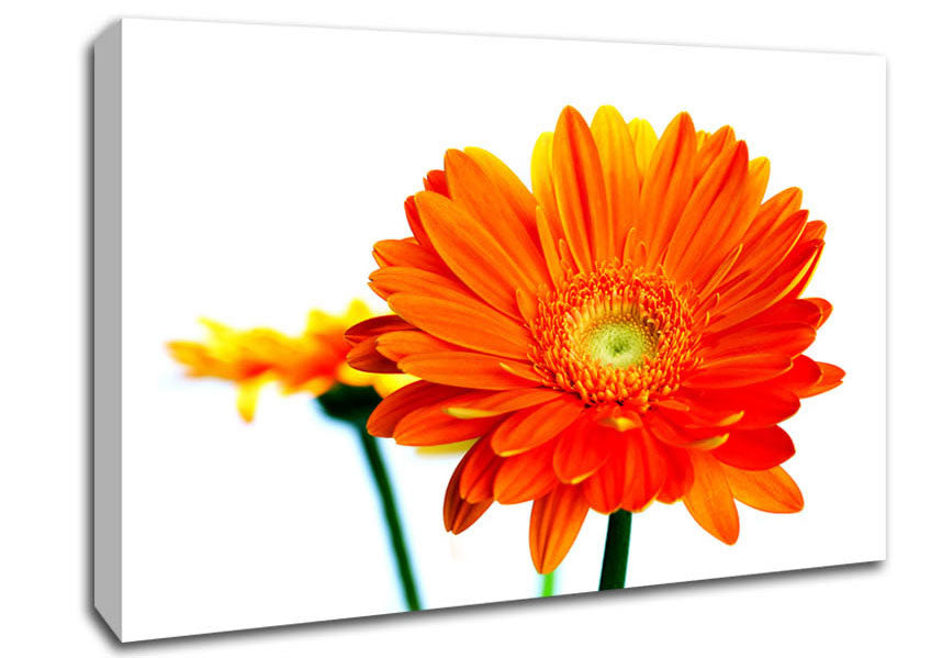 Orange Flames Canvas Wall Art