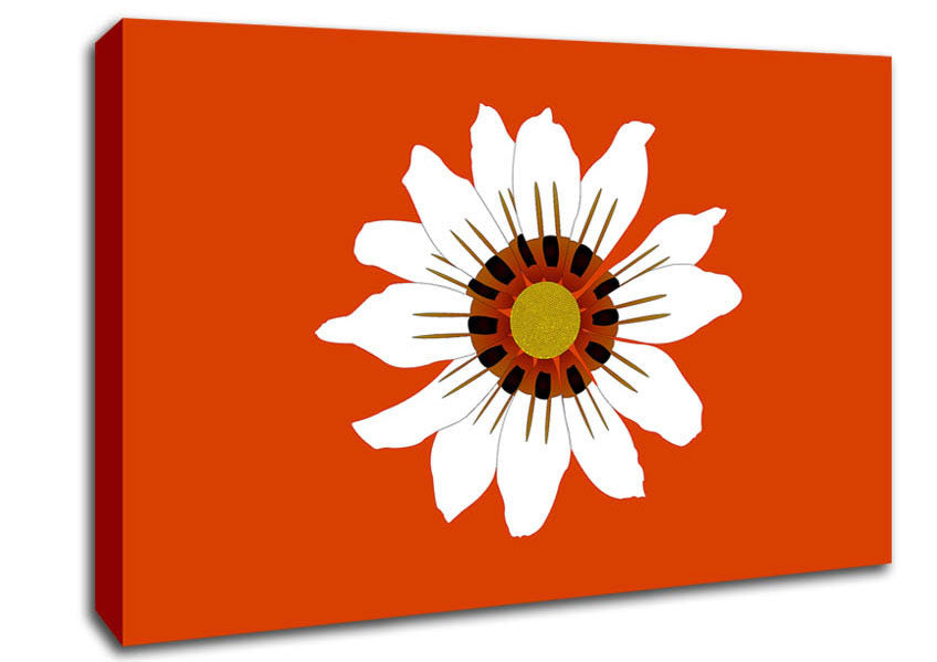 White Daisy Oranges Canvas Wall Art