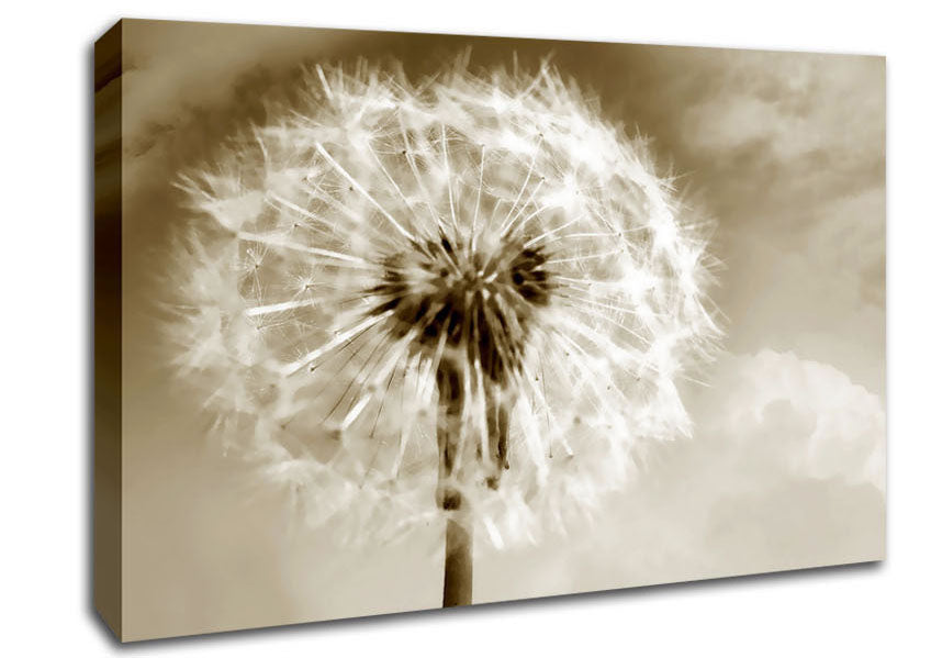 Chocolate Fairy Flower Canvas Wall Art